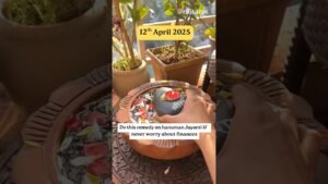 Leia mais sobre o artigo #tarot #mahadev #hanuman #hanumanjayanti #remedies #viralshorts #trending #trendingshorts #shorts#yt