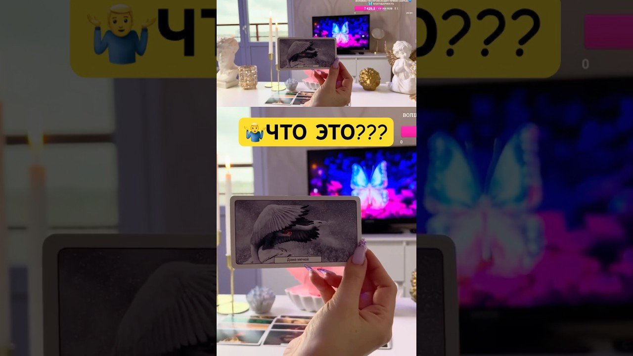 No momento, você está visualizando #tarot