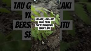 Leia mais sobre o artigo tau gak laki”yang tidak berselingkuh itu seperti apa#shorts #shortvideo #tarot #tarotreading