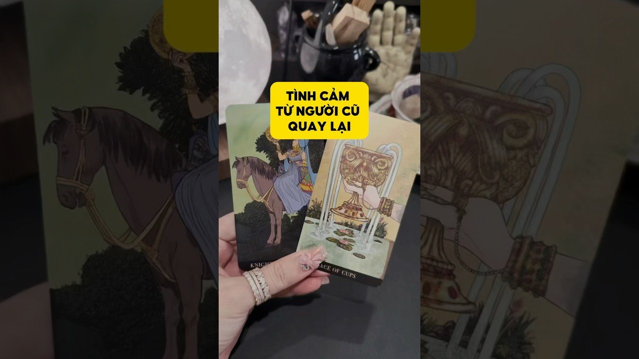 No momento, você está visualizando Tình cảm từ người cũ quay lại #tarot #duongtarot #tarotreels #tarotvietnam #tarotonline #tinhyeu