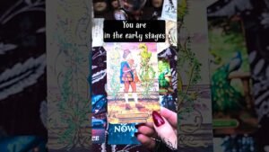 Leia mais sobre o artigo You are in the early stages of a new beginning #youtubetarot #tarot