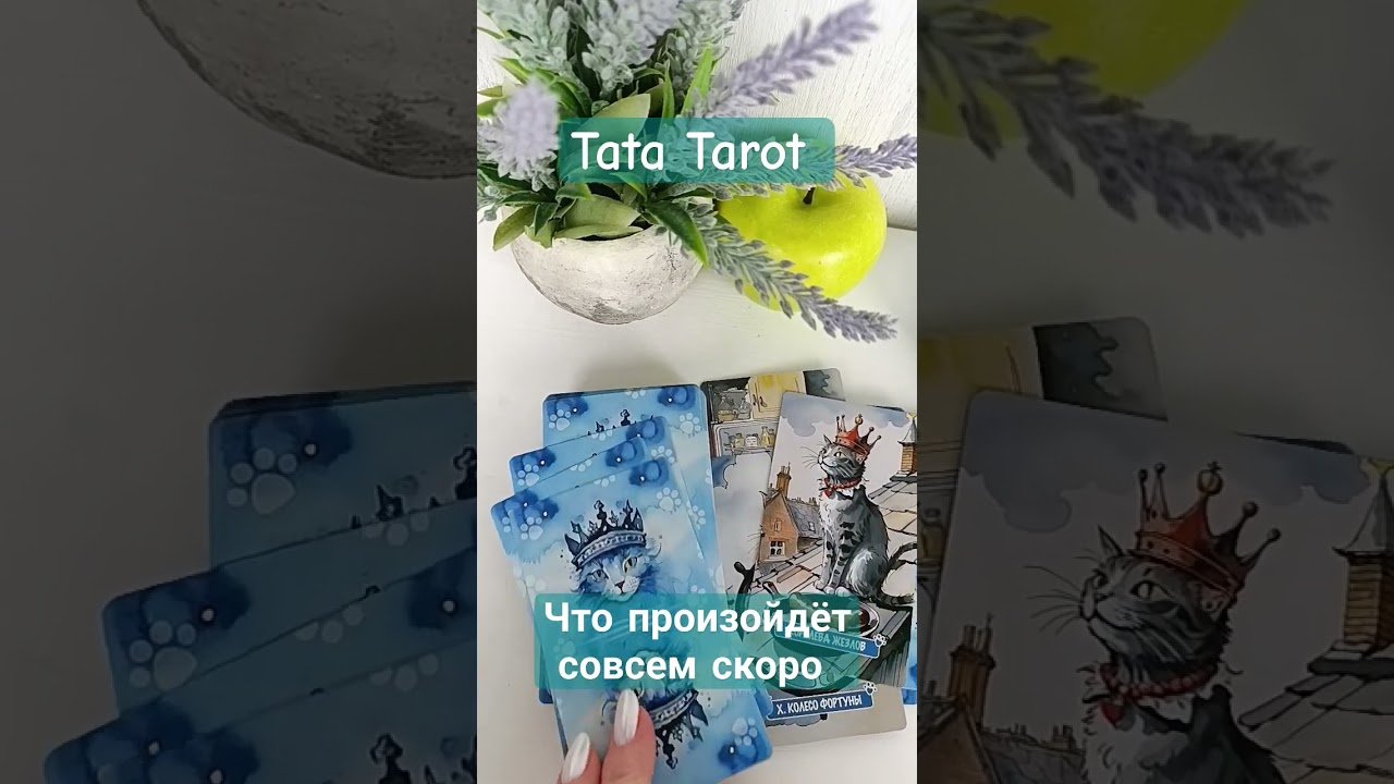 No momento, você está visualizando Что произойдёт совсем скоро 💥🥳 #обряды #талисмантаро #таро #таролог #эзотерика #tarot #таросила