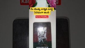 Leia mais sobre o artigo మీ యొక్క కార్మిక ఎనర్జీ ఏవిధంగా ఉంది #tarot #fortune #astrology #basicwitch #fortunetelling #telugu