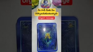Leia mais sobre o artigo మీ గాడ్ మీకు ఏం చెప్పాలనుకుంటున్నారు #tarot #magic #basicwitch #fortunetelling #telugu