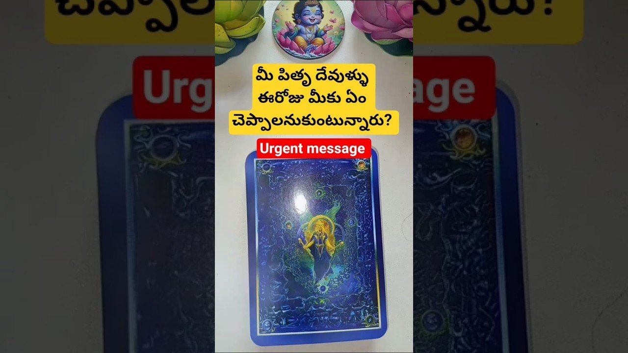 No momento, você está visualizando మీ పితృ దేవుళ్ళు ఈరోజు మీకు ఏం చెప్పాలనుకుంటున్నారు? #tarot #magic #basicwitch #fortunetelling