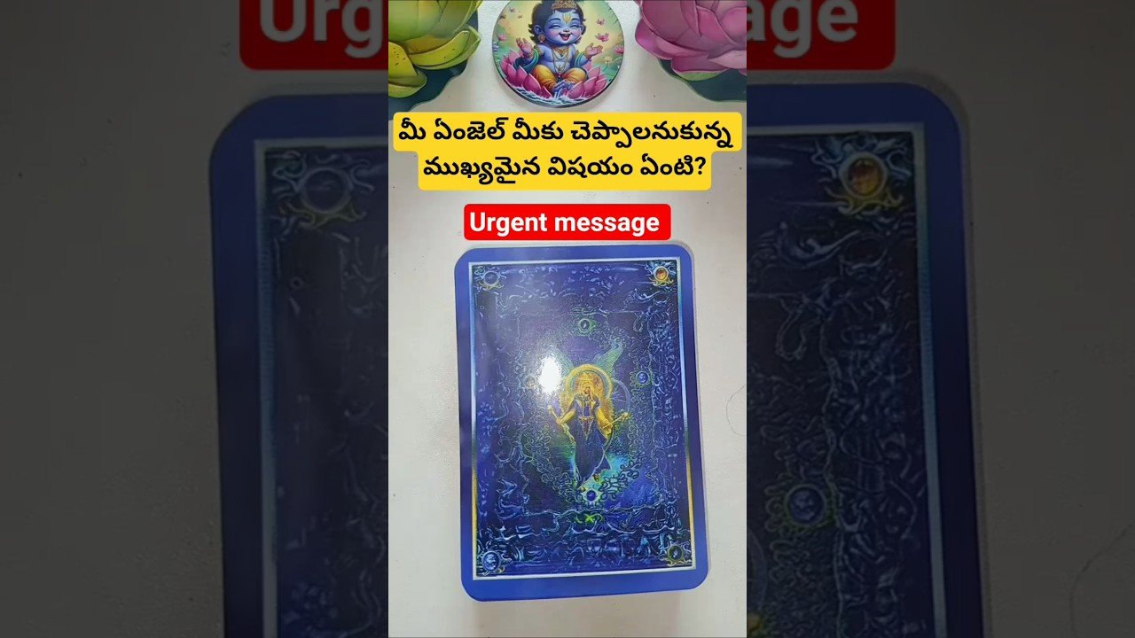 No momento, você está visualizando మీ ఏంజెల్ మీకు చెప్పాలనుకున్న ముఖ్యమైన విషయం ఏంటి? #magic #tarot #fortunetelling #basicwitch #tarot
