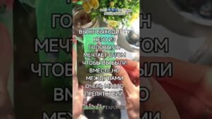 Leia mais sobre o artigo 🔮♥️ #таро #узнатьсудьбу #таролог #мастертаро #гадание #tarot #картытаро #тароонлайн