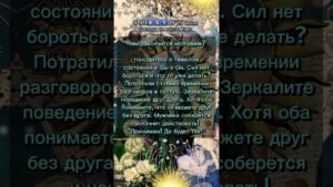 Leia mais sobre o artigo Молчание 🔮 #таро #узнатьсудьбу #таролог #гадание #таромастер #tarot #тароонлайн