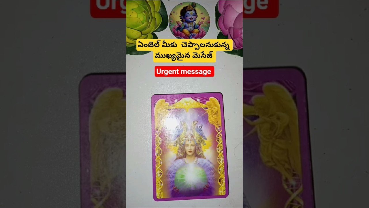 No momento, você está visualizando ఏంజెల్ మీకు  చెప్పాలనుకున్న ముఖ్యమైన మెసేజ్ #fortunetelling #tarot #magic #tarotcardreading