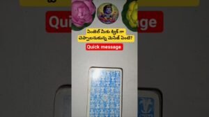 Leia mais sobre o artigo ఏంజెల్ మీకు క్విక్ గా చెప్పాలనుకున్న మెసేజ్ ఏంటి #numerology4 #fortunetelling #tarot #magic #love