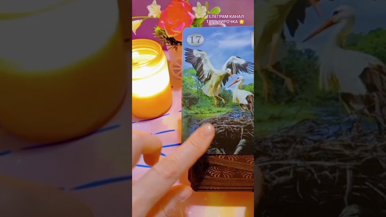 No momento, você está visualizando #таро #мастертаро #tarot #таромастер #таролог #талисмантаро #тароонлайн #гадание