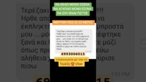 Leia mais sobre o artigo #επανασυνδεση #tarot #πανσεληνοσ #deste #karmatereza