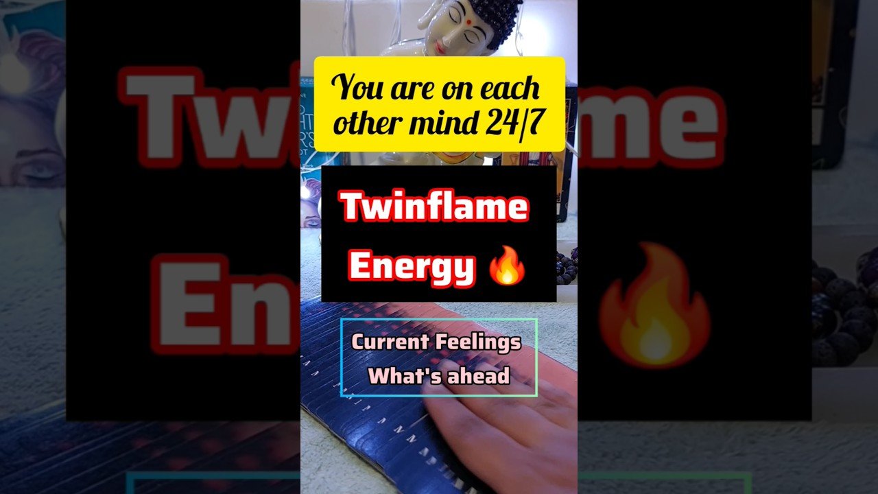 No momento, você está visualizando 🔥 TwinFlames what’s coming towards u #twinflame #tarot #love #lovereading #whatscomingupinlovelife