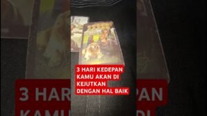 Leia mais sobre o artigo 3 HARI KEDEPAN KAMU AKAN DI KEJUTKAN DENGAN HAL BAIK #tarot #tarotreading