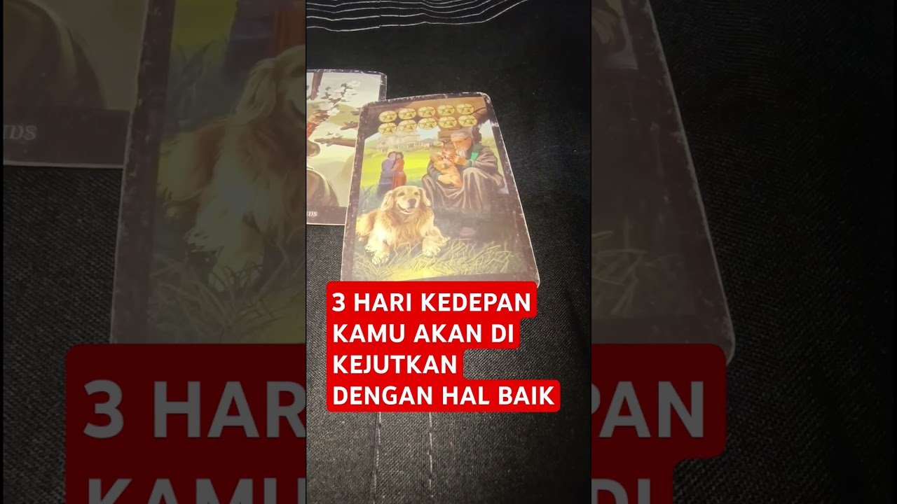 No momento, você está visualizando 3 HARI KEDEPAN KAMU AKAN DI KEJUTKAN DENGAN HAL BAIK #tarot #tarotreading