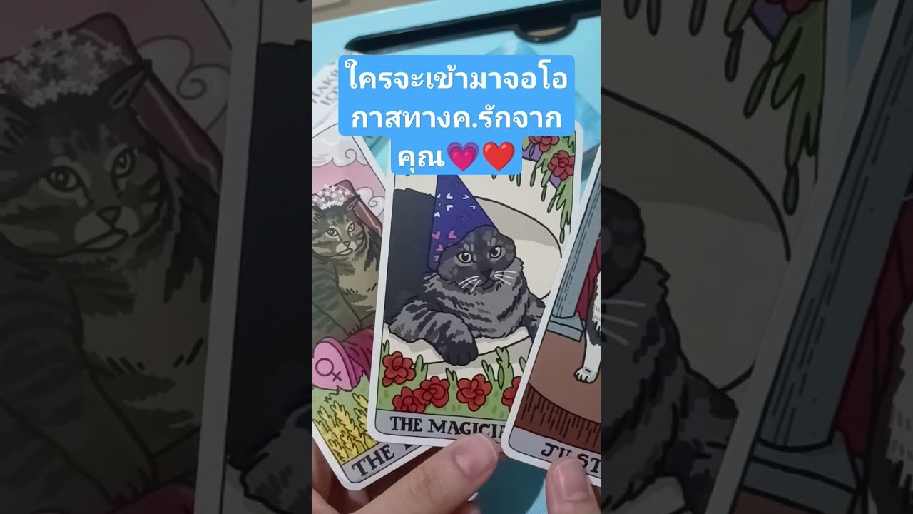 No momento, você está visualizando #ดูดวงความรัก #tarot #cardoftheweek #ดูดวง #pickacard #tarotreading #tarotreader