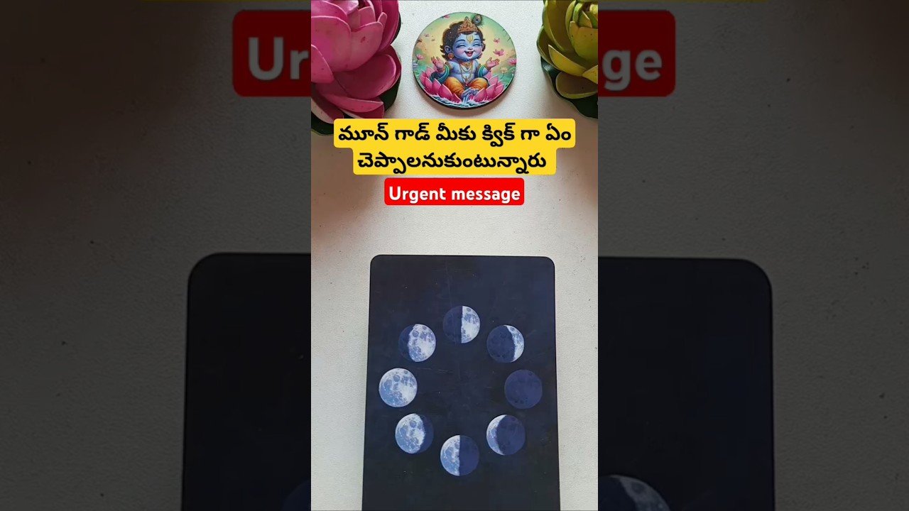 No momento, você está visualizando రిలేషన్షిప్ విషయంలో మీ ఏంజెల్ మీకేం చెప్పాలనుకుంటున్నారు #tarot #magic #fortunetelling