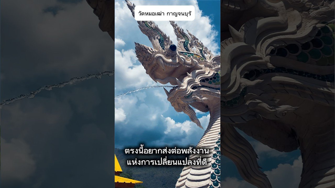 No momento, você está visualizando คลิปส่งต่อพลังงาน #ดูดวง #tarot #ดูดวงเนื้อคู่ #tarotreading  #ดูดวงไพ่ทาโร่