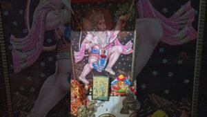 Leia mais sobre o artigo तुलसी को कब नहीं छूना चाहिए.🙏जय मां🙏#youtubevideo #tarot #astrology