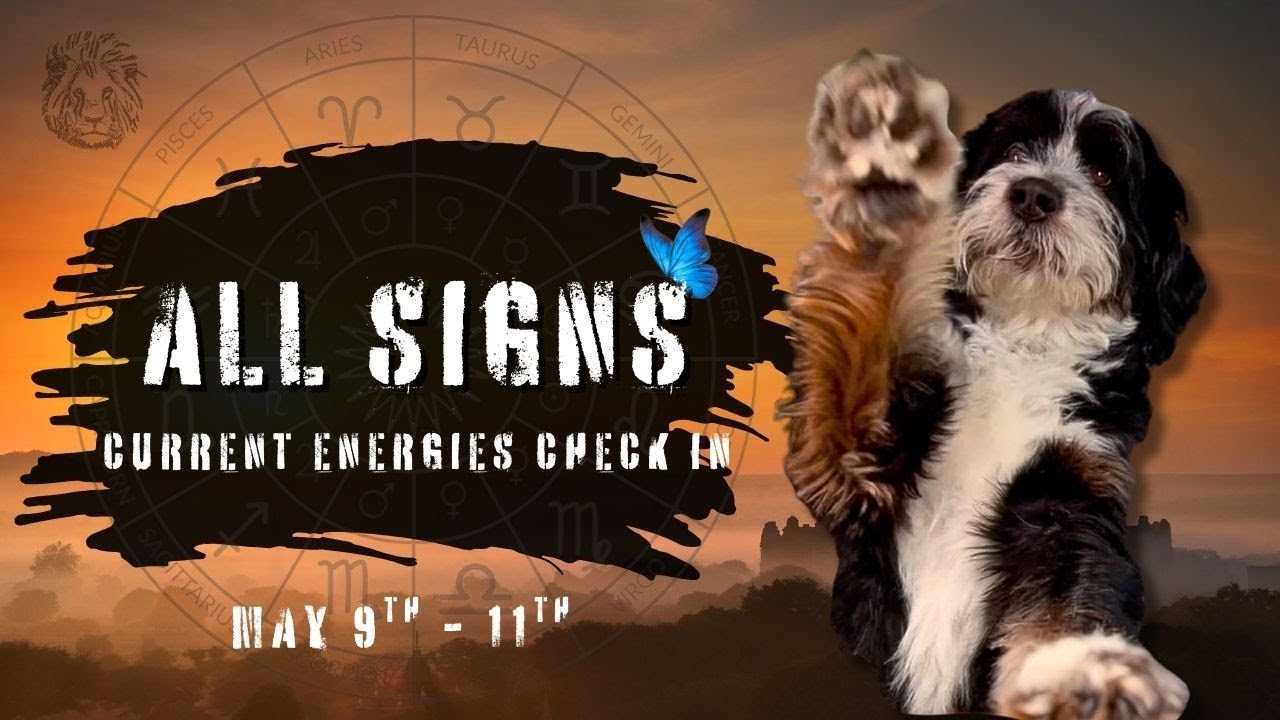 No momento, você está visualizando ALL SIGNS TAROT ✨ CURRENT ENERGIES CHECK IN,No Clarification (Weekend, MAY 9TH – 11TH)