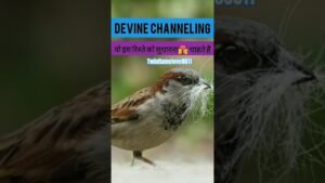 Leia mais sobre o artigo जान ! मैं हमारे रिश्ते को सुधारना चाहता हूं 😍 #shortsfeed #tarot #dmenergy #divinechannelings