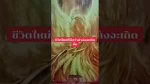 Leia mais sobre o artigo ชีวิตใหม่ที่ดีกว่ากำลังจะเกิดขึ้น #tarot #ดูดวง @user-geed289