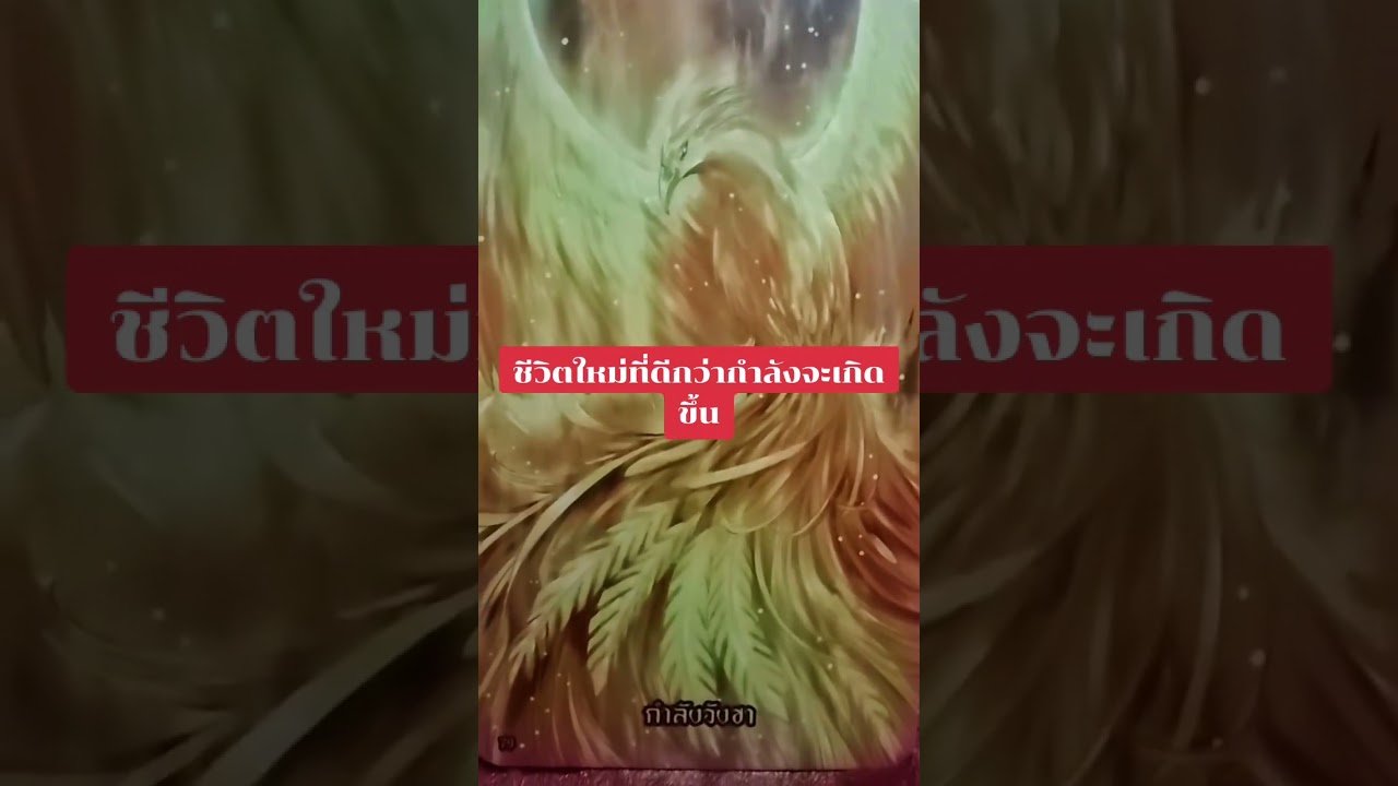 No momento, você está visualizando ชีวิตใหม่ที่ดีกว่ากำลังจะเกิดขึ้น #tarot #ดูดวง @user-geed289