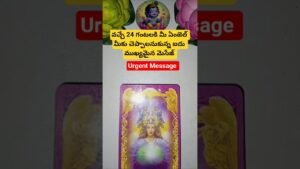 Leia mais sobre o artigo వచ్చే 24 గంటలకి మీ ఏంజెల్ మీకు చెప్పాలనుకున్న ఐదు ముఖ్యమైన మెసేజ్ #basicwitch #tarot #magic