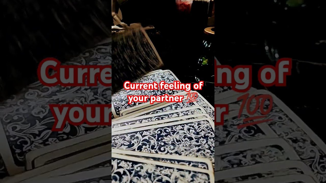 No momento, você está visualizando current feeling of your partner#spirituality #tarot