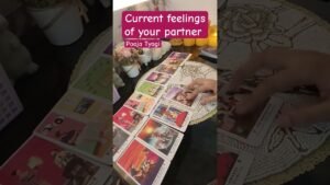 Leia mais sobre o artigo current feelings of your partner #tarot #poojatyagi #shorts #shortsfeed #ytshorts #youtubeshorts