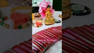 Leia mais sobre o artigo Current feelings #tarot #tarotbyutsha #tarotreading #shorts #tarotcards