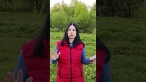 Leia mais sobre o artigo 📌 СОСТОИТСЯ ЛИ ВСТРЕЧА #тародлявсех #таро #раскладыдлямужчин #tarot#тародлямужчин#тарорасклад