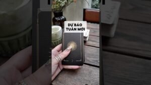 Leia mais sobre o artigo Dự báo tuần mới #tarot #duongtarot #tarotreels #tarotvietnam #tarotonline #tinhyeu