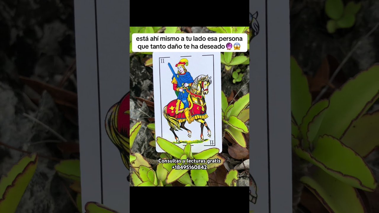 No momento, você está visualizando Esa persona maligna está a tu lado 🚨😱🔮 #tarot #lecturacartas #horoscopo #cuidado #shots #parati