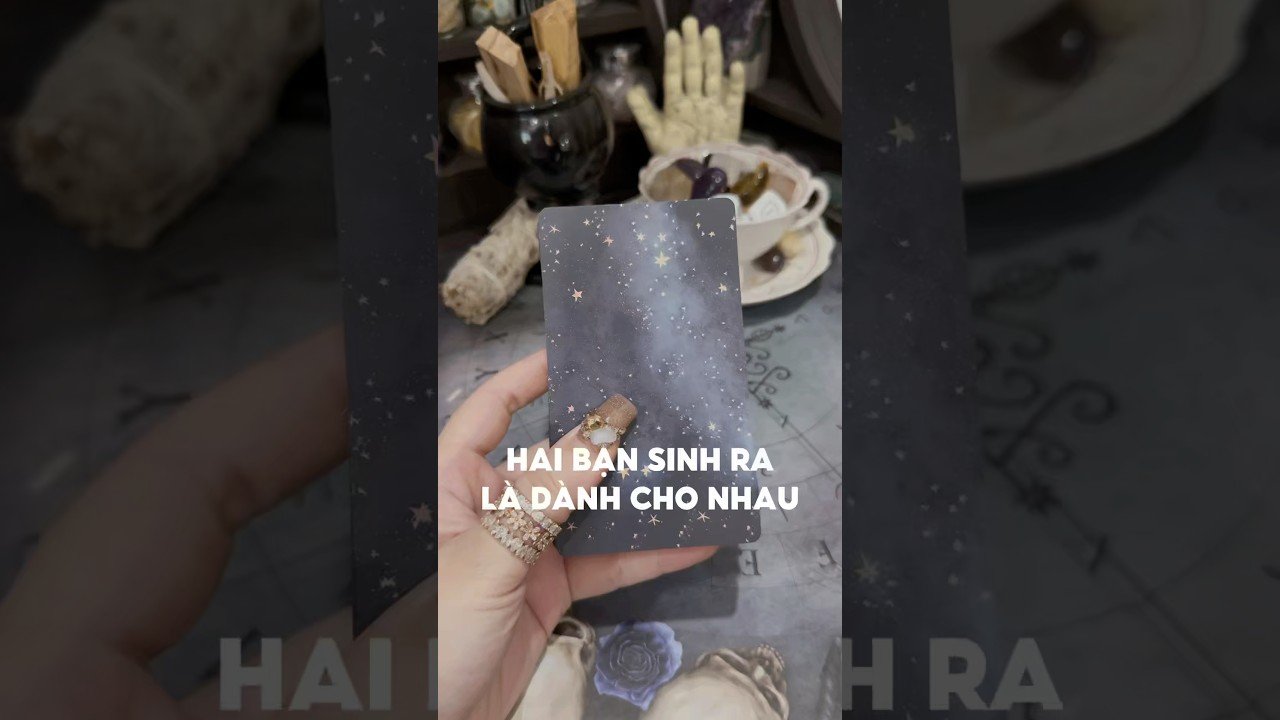 No momento, você está visualizando Hai bạn sinh ra là dành cho nhau #tarot #duongtarot #tarotreels #tarotvietnam #tarotonline #tinhyeu