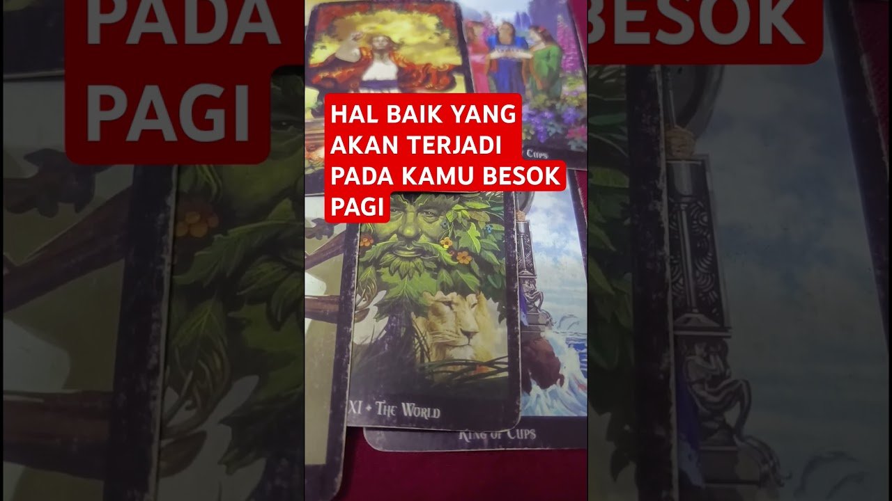 No momento, você está visualizando HAL BAIK YANG AKAN TERJADI PADA KAMU BESOK PAGI #tarot #tarotreading