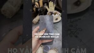 Leia mais sobre o artigo Họ vẫn còn tình cảm và muốn kết nối lại #tarot #duongtarot #tarotreels #tarotvietnam #tarotonline