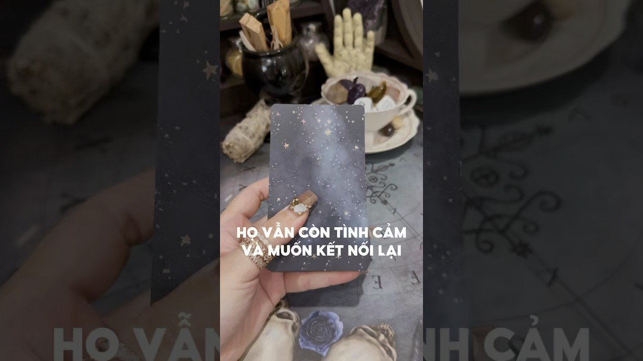 No momento, você está visualizando Họ vẫn còn tình cảm và muốn kết nối lại #tarot #duongtarot #tarotreels #tarotvietnam #tarotonline