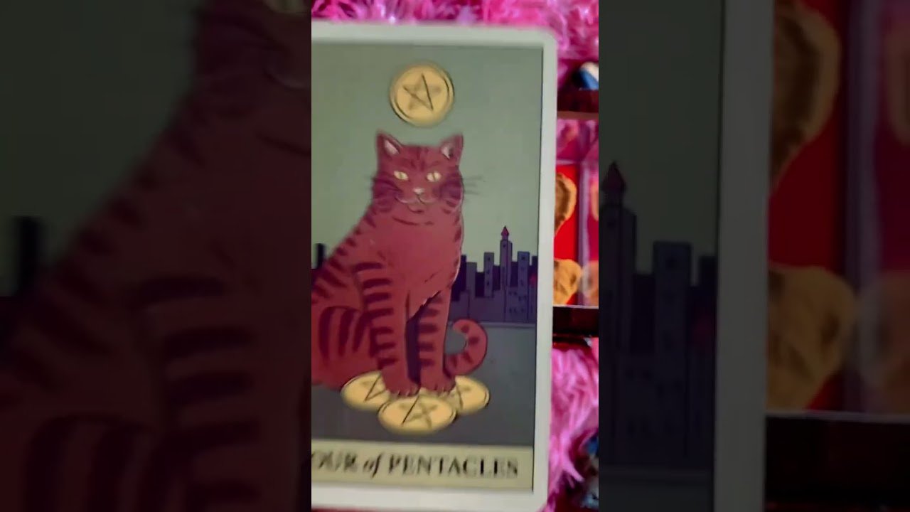 No momento, você está visualizando ￼ วางแผนเรื่องการเงินสำเร็จมีหนี้สินจะได้ปลดหนี้ #ดวง #tarot #tarotcaards #pickacard #tarotreading