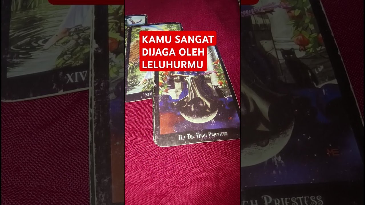 No momento, você está visualizando KAMU SANGAT DIJAGA OLEH LELUHURMU #tarot #tarotreading