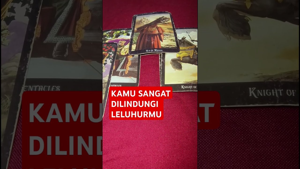 No momento, você está visualizando KAMU SANGAT DILINDUNGI LELUHURMU #tarot #tarotreading