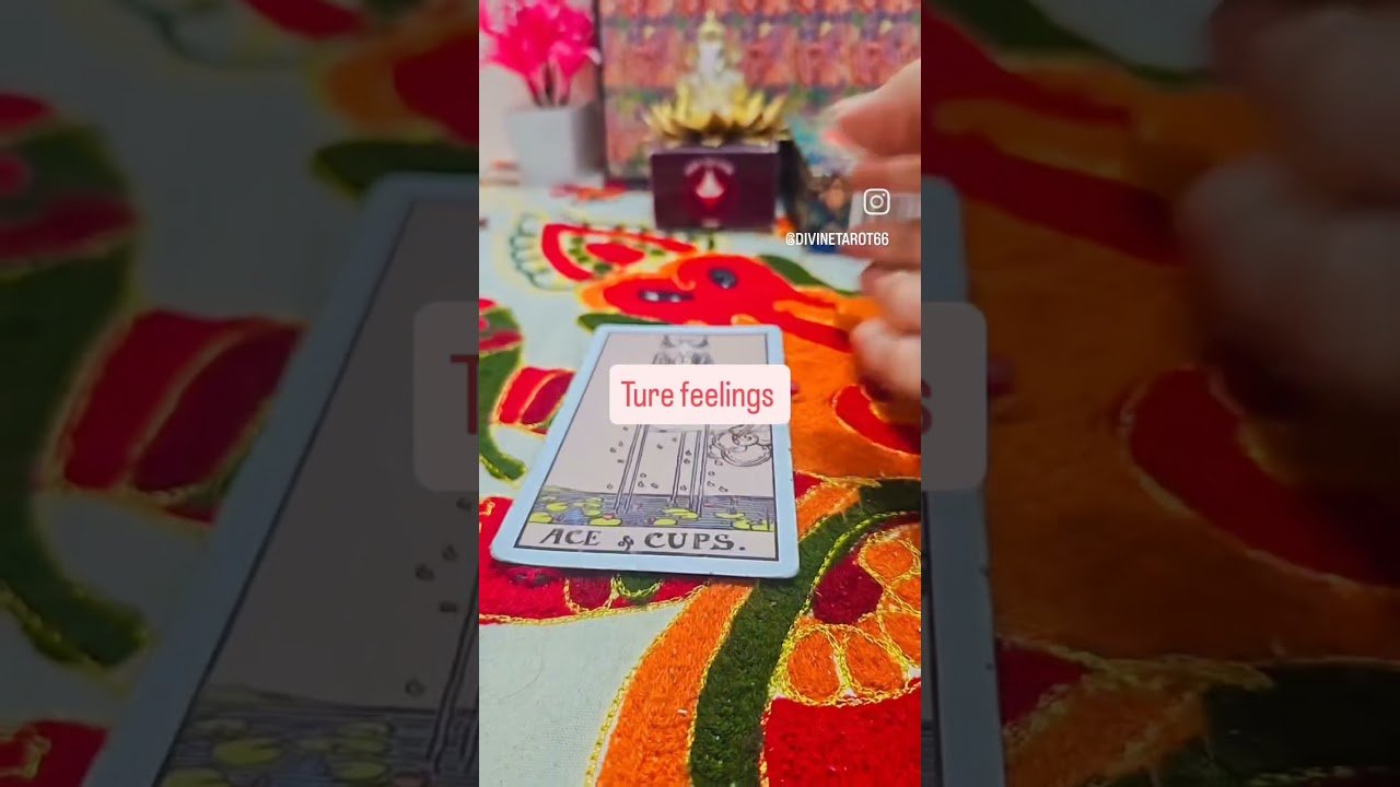 No momento, você está visualizando love reading ❤️ #tarot #trending #turelove #lovereading