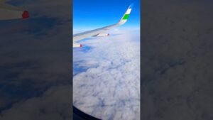 Leia mais sobre o artigo #magic #tarot #shorts #remix #bozorolami2024