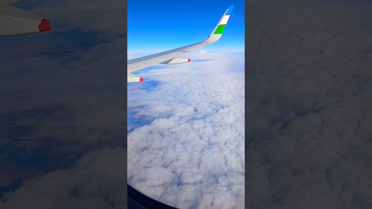 No momento, você está visualizando #magic #tarot #shorts #remix #bozorolami2024