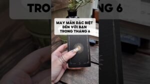 Leia mais sobre o artigo May mắn đặc biệt đến với bạn trong tháng 6 #tarot #duongtarot #tarotvietnam #tarotonline #tinhyeu