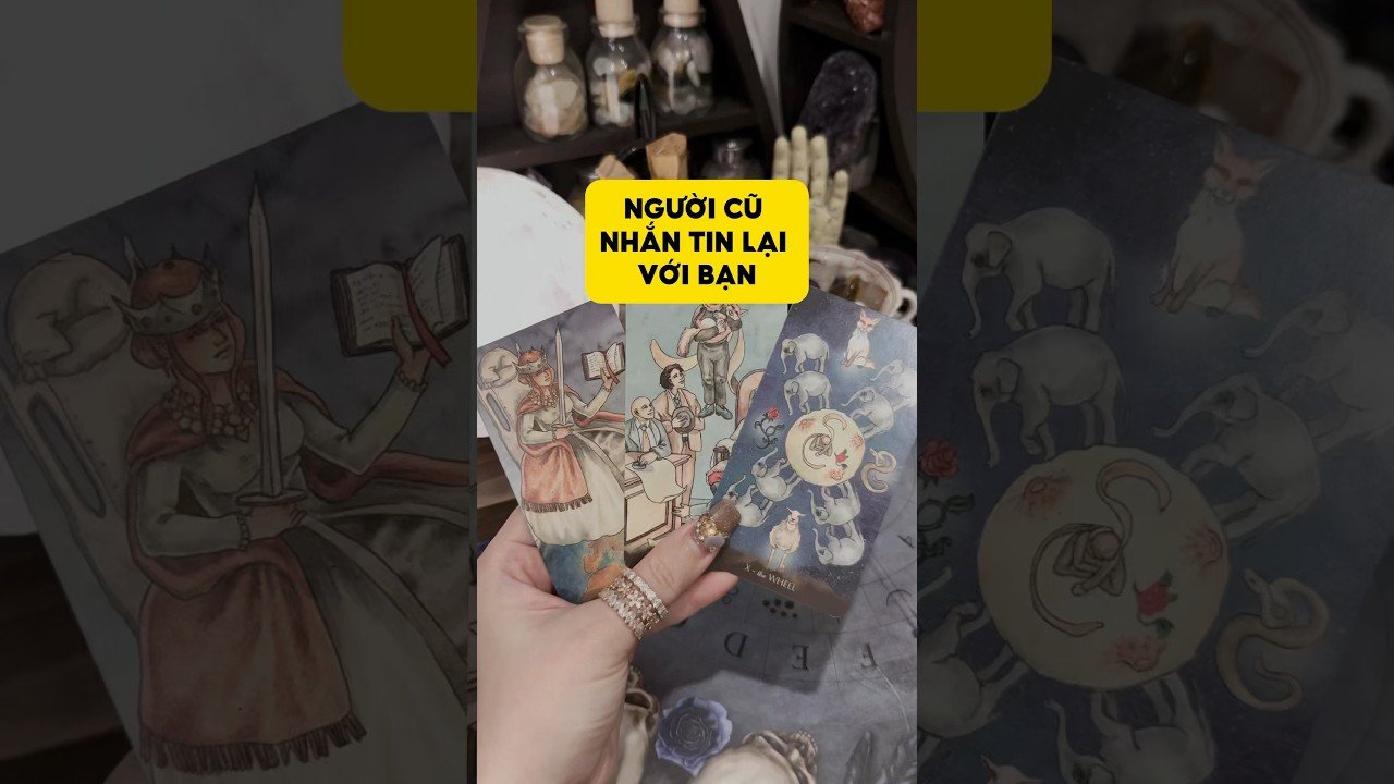 No momento, você está visualizando Người cũ nhắn tin lại với bạn #tarot #duongtarot #tarotreels #tarotvietnam #tarotonline #tinhyeu