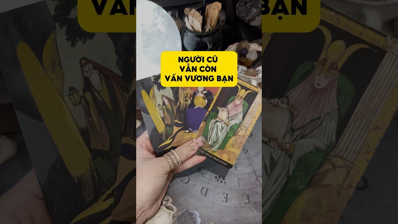 No momento, você está visualizando Người cũ vẫn còn vấn vương bạn #tarot #duongtarot #tarotreels #tarotvietnam #tarotonline #tinhyeu