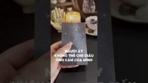 Leia mais sobre o artigo Người ấy không thể che giấu tình cảm của mình #tarot #duongtarot #tarotvietnam #tarotonline #tinhyeu