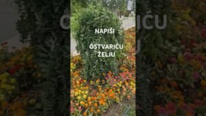 Leia mais sobre o artigo POZITIVNA PORUKA DANA ZA TEBE 🧡 ENERGIJA SREĆE I DOBITKA ASTRO TAROT LJUBAV