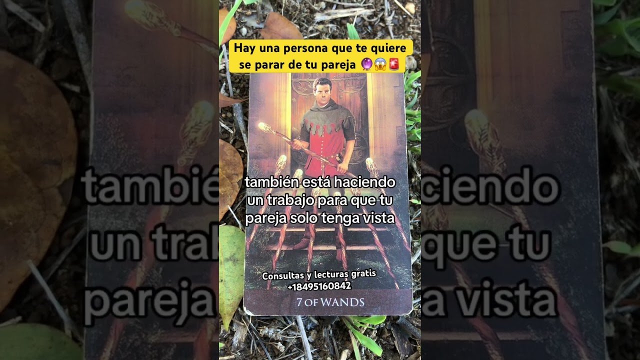 No momento, você está visualizando Quieren separarte de tu pareja 🔮😱🚨 #tarot #lecturacartas #amor #horoscopo #energia #shots #love